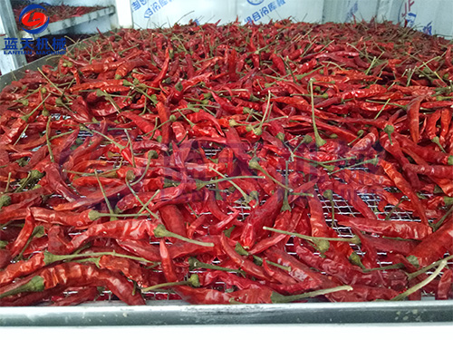 開封辣椒烘干機現場