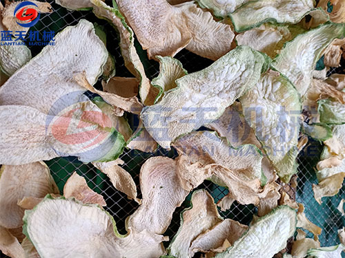 山東膠東蘿卜片烘干機客戶現場